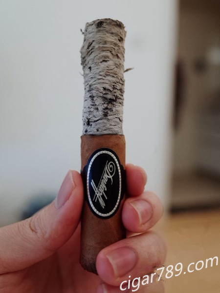 大卫杜夫尼加拉瓜罗布图雪茄黑色铝管装 雪茄灰持久图