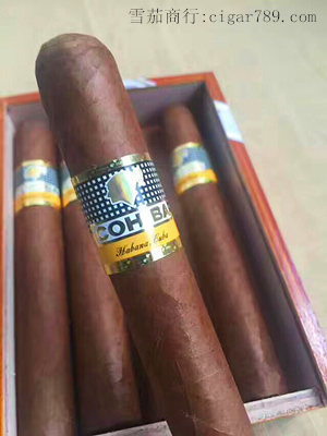 科伊巴世纪6号雪茄 COHIBA SIGLO VI